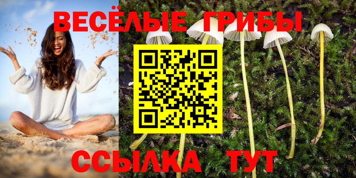 Каннабис  ГАШИШ  Codein  Среднеуральск  Вход с VPN  Меф кристаллы 